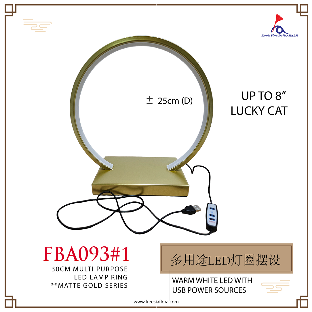 FBA093 Warm White LED Ring with USB Power Sources - Gold