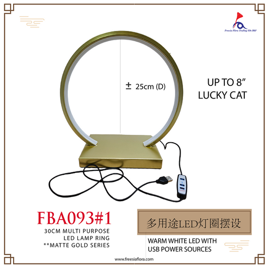 FBA093 Warm White LED Ring with USB Power Sources - Gold