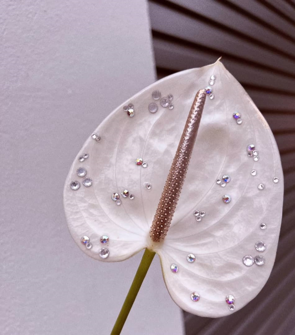 FBA155 IRIDESCENT PEARLS