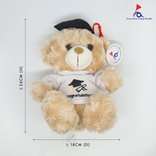 FTY019 8IN PREMIUM Graduate Bear