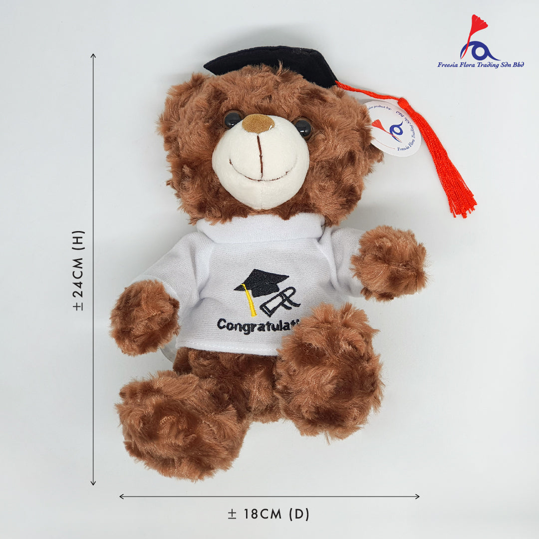 FTY019 8IN PREMIUM Graduate Bear