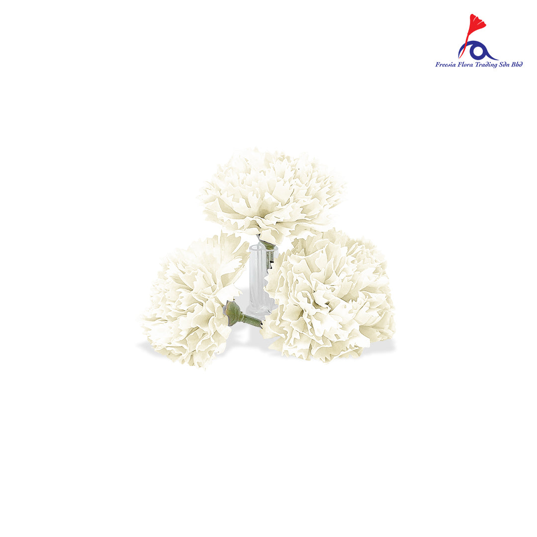 FBA025 CARNATION SOAP FLOWER - Freesia