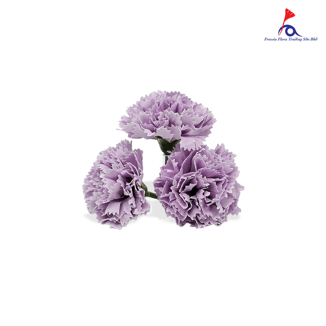 FBA025 CARNATION SOAP FLOWER - Freesia