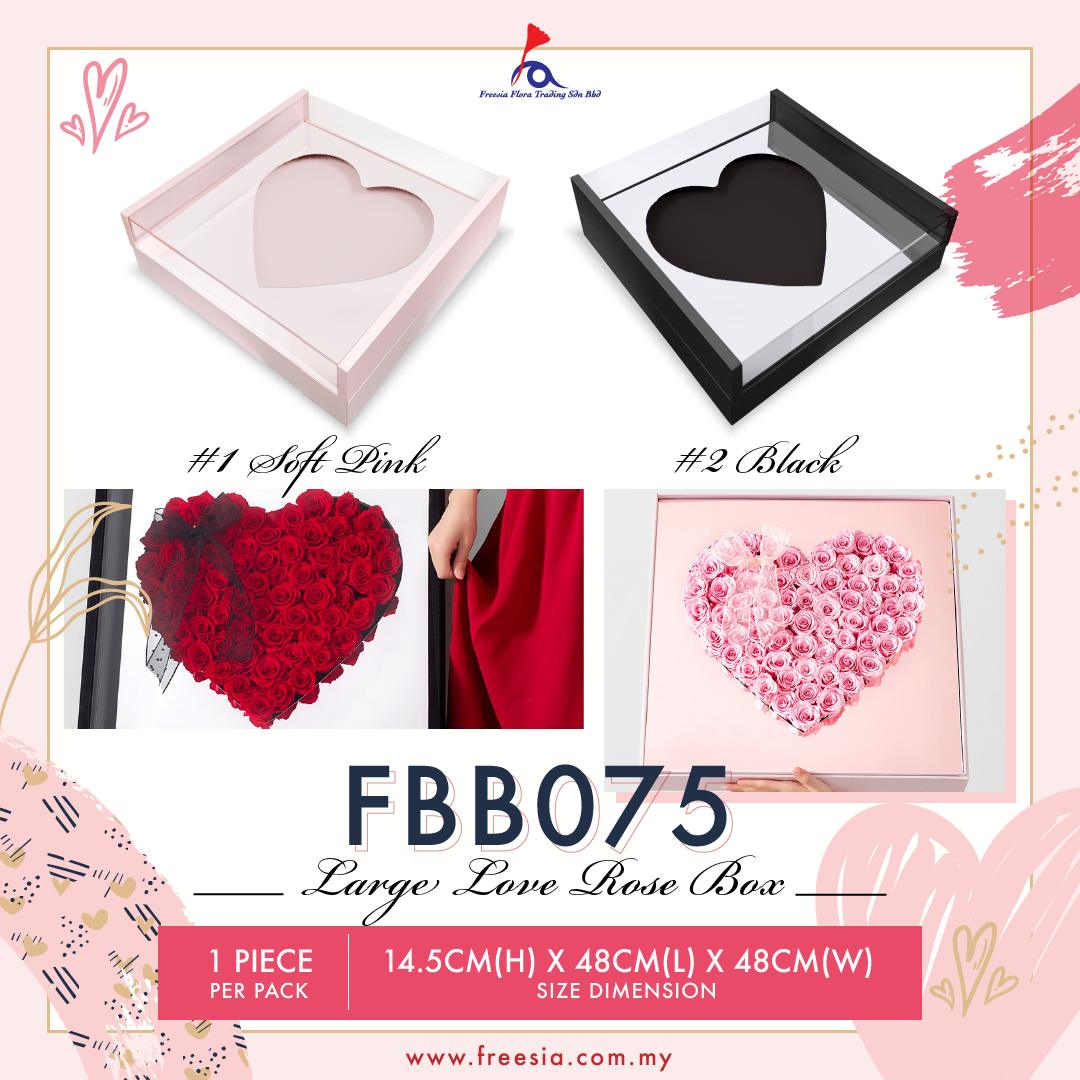 FBB075 LARGE LOVE ROSE BOX - Freesia