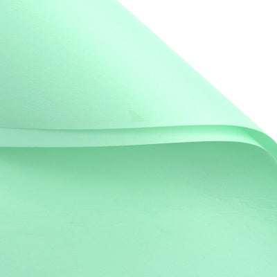 FPP048 PARIS PAPER - Freesia