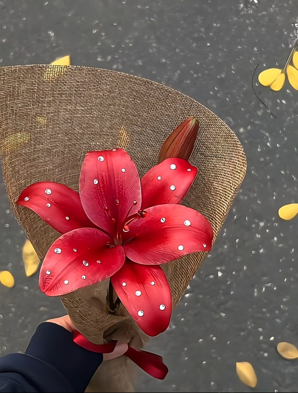 FBA155 IRIDESCENT PEARLS