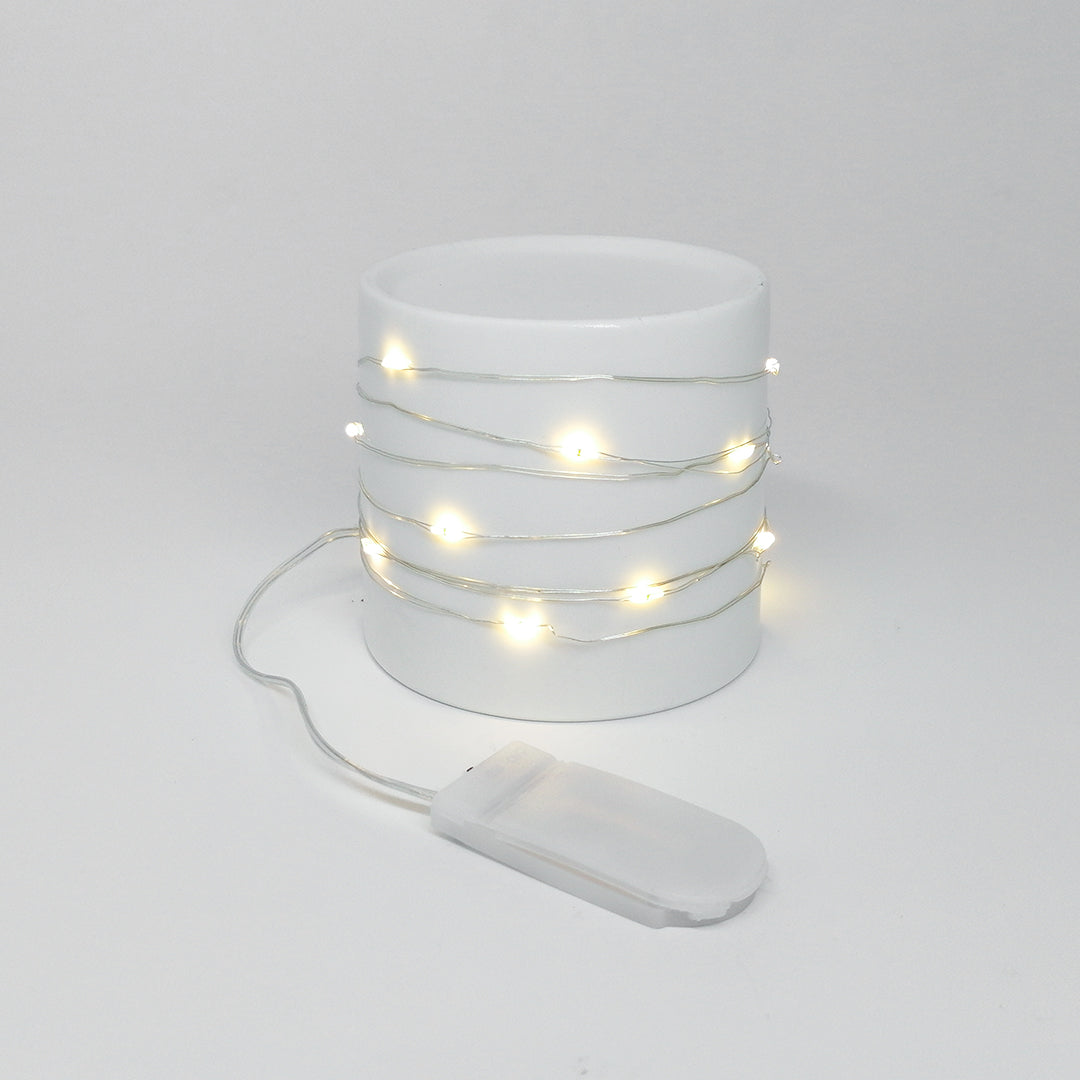 FBA007 LED LIGHTS (2M) - Freesia