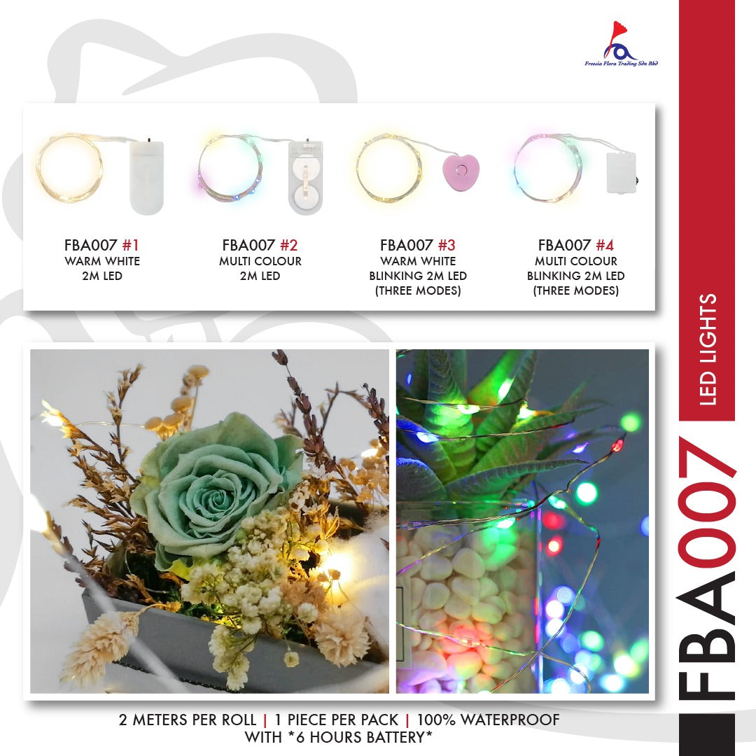 FBA007 LED LIGHTS (2M) - Freesia