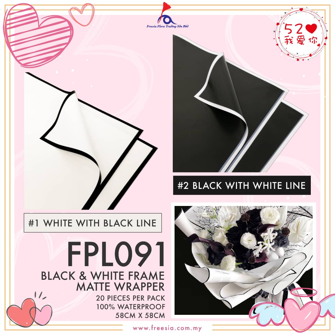 FPL091 BLACK & WHITE FRAME - Freesia